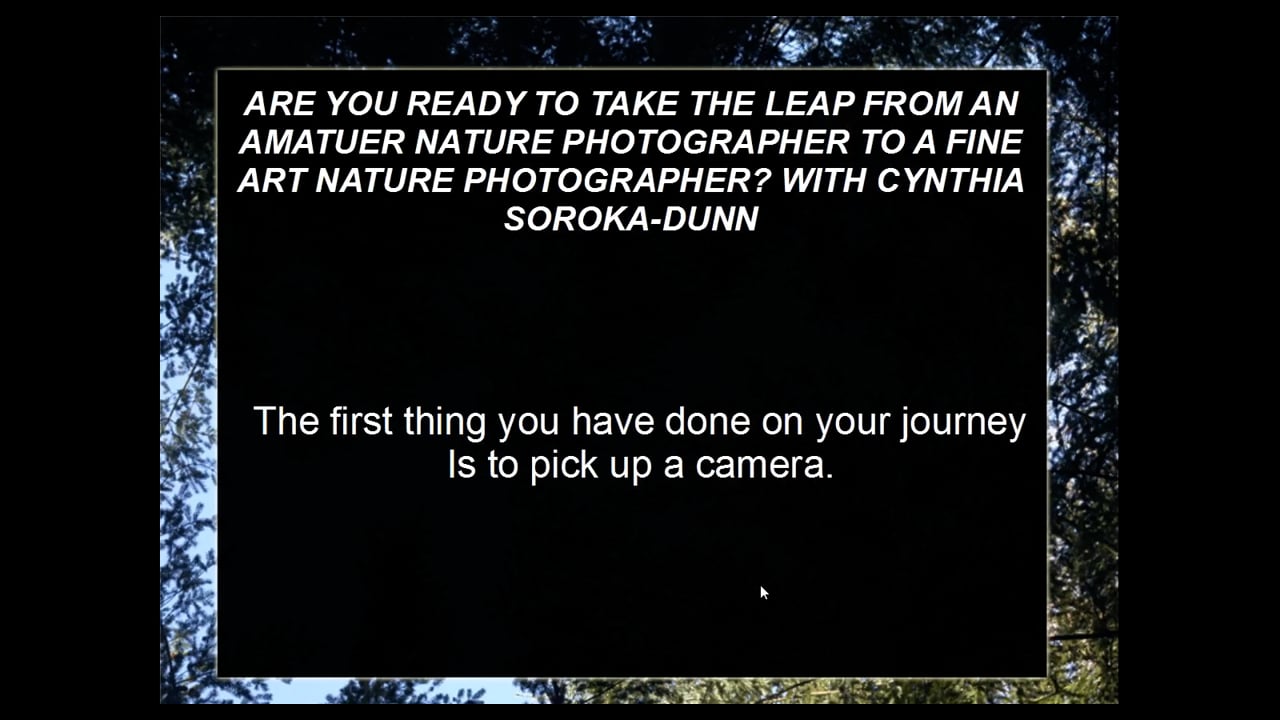 Taking the Leap to Become a Fine Art Photographer w/ Cynthia Soroka-Dunn