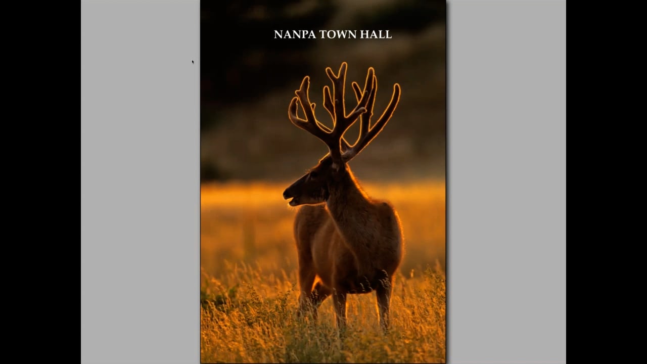 August 2018: NANPA Town Hall Meeting w/ Gordon Illg