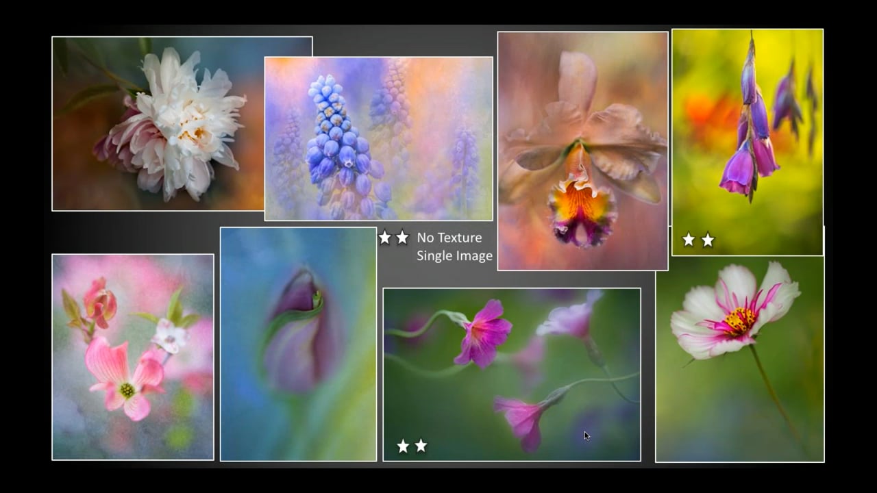 Editing Your Floral Photography w/ Jackie Kramer