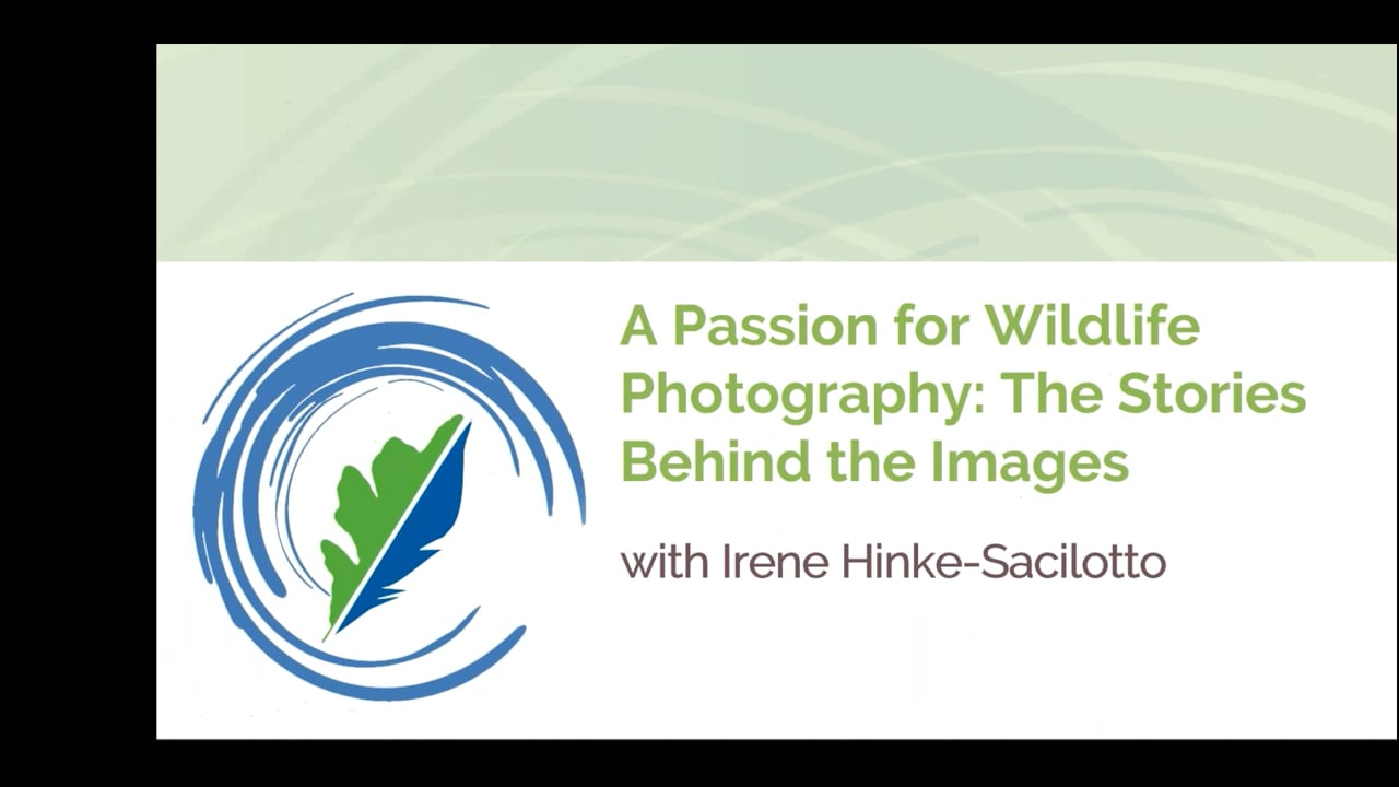 A Passion for Wildlife Photography: The Stories Behind the Images w/ Irene Hinke-Sacilotto