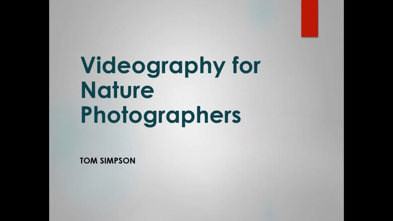 Creative Video Nature Photography w/ Tom Simpson