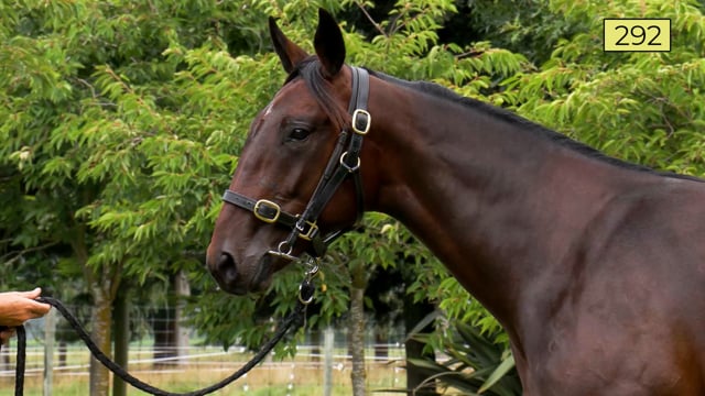 Lot 292