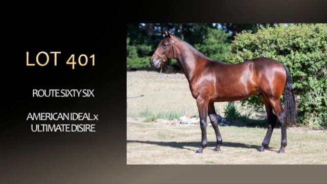 Lot 401