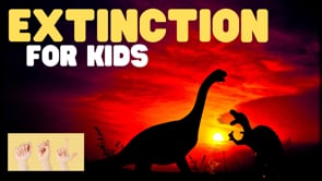 ASL Extinction for Kids