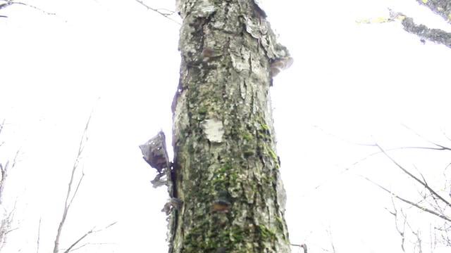 KHSEast-Part 3 from Travis Fant