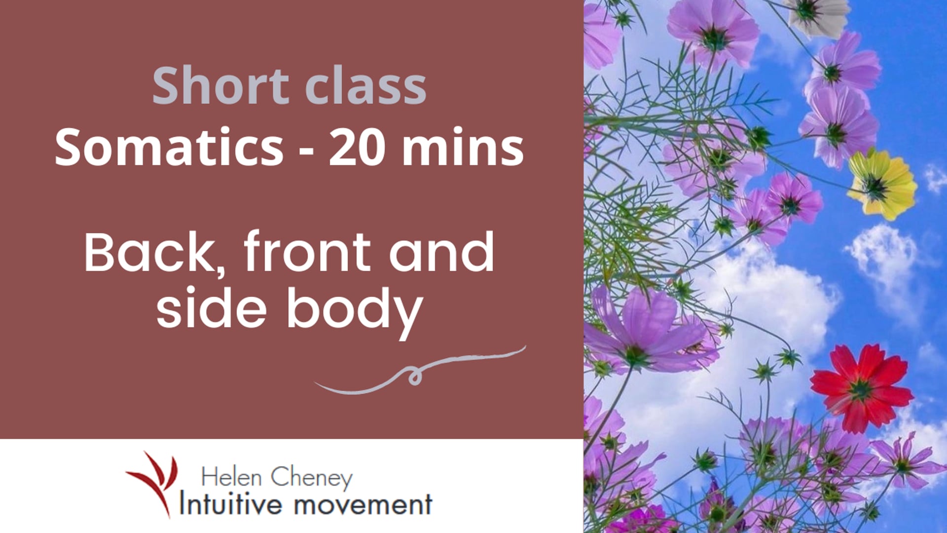 Short class - Front, back and side body somatics