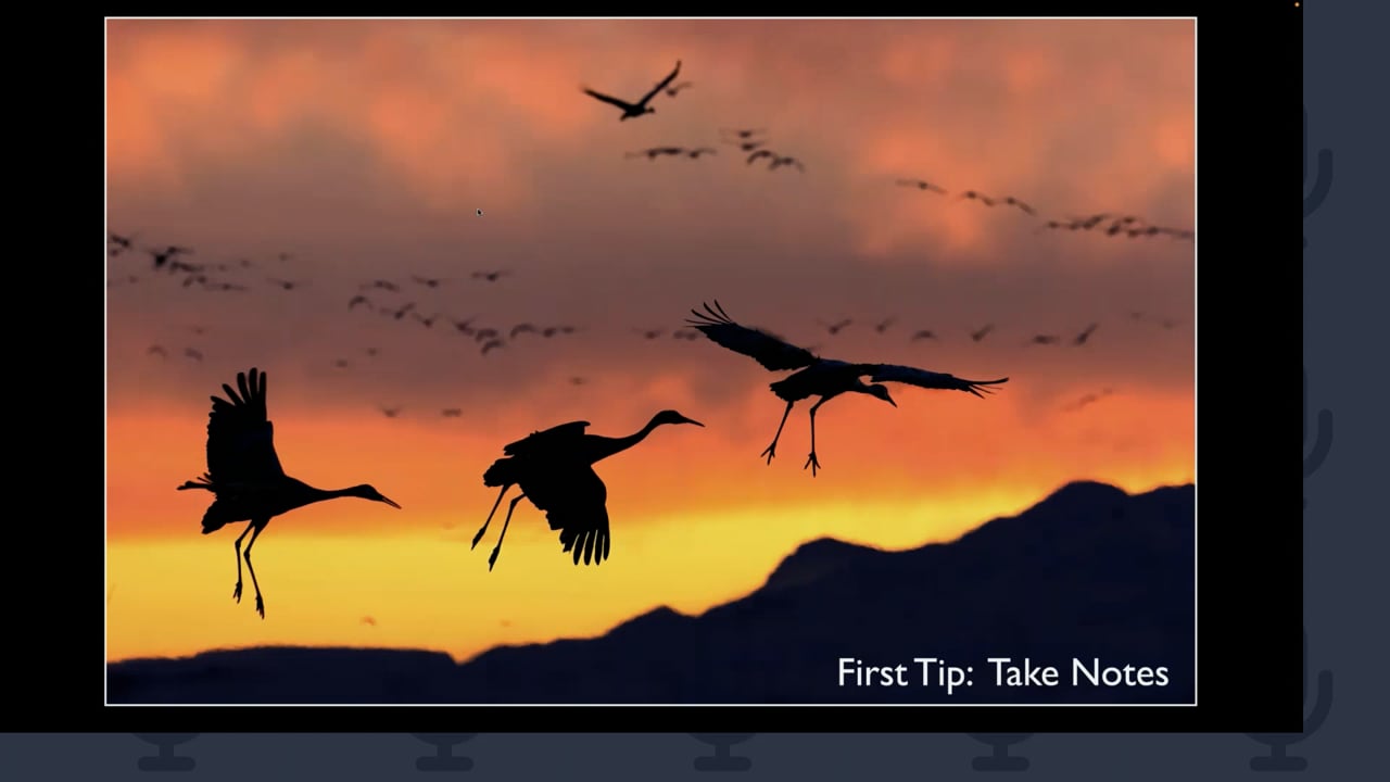 Photographing Wildlife Around the World w/ Rick Sammon