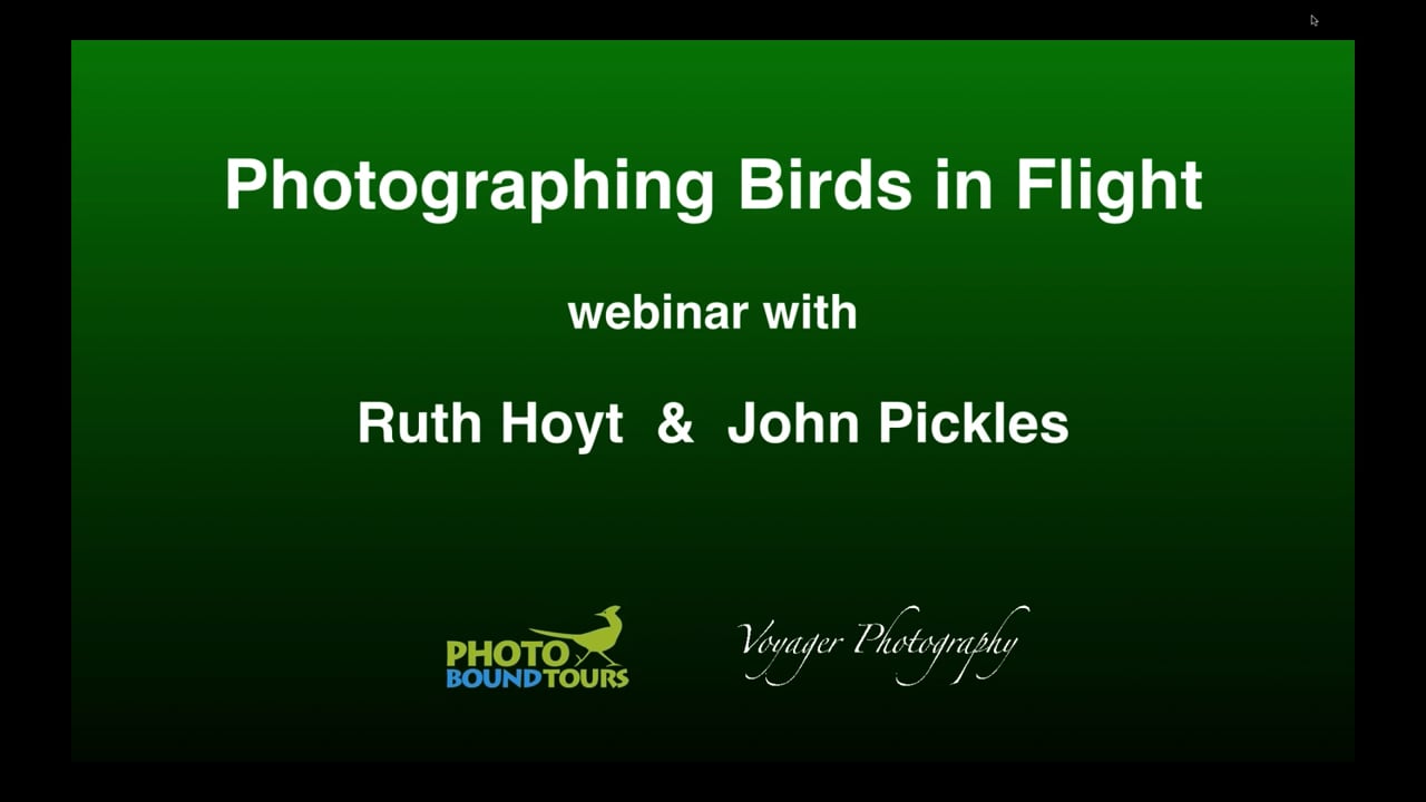 Photographing Birds in Flight w/ Ruth Hoyt and John Pickles - NANPA