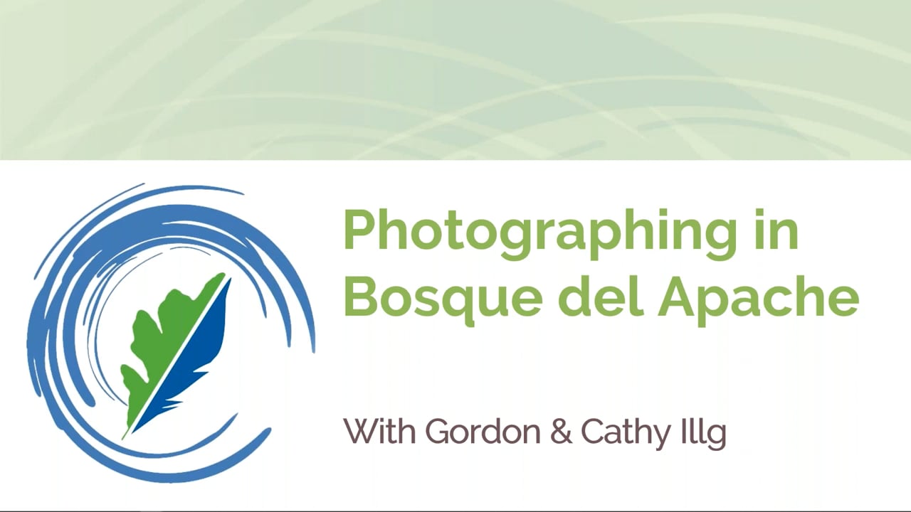 Photographing Bosque del Apache w/ Cathy & Gordon Illg