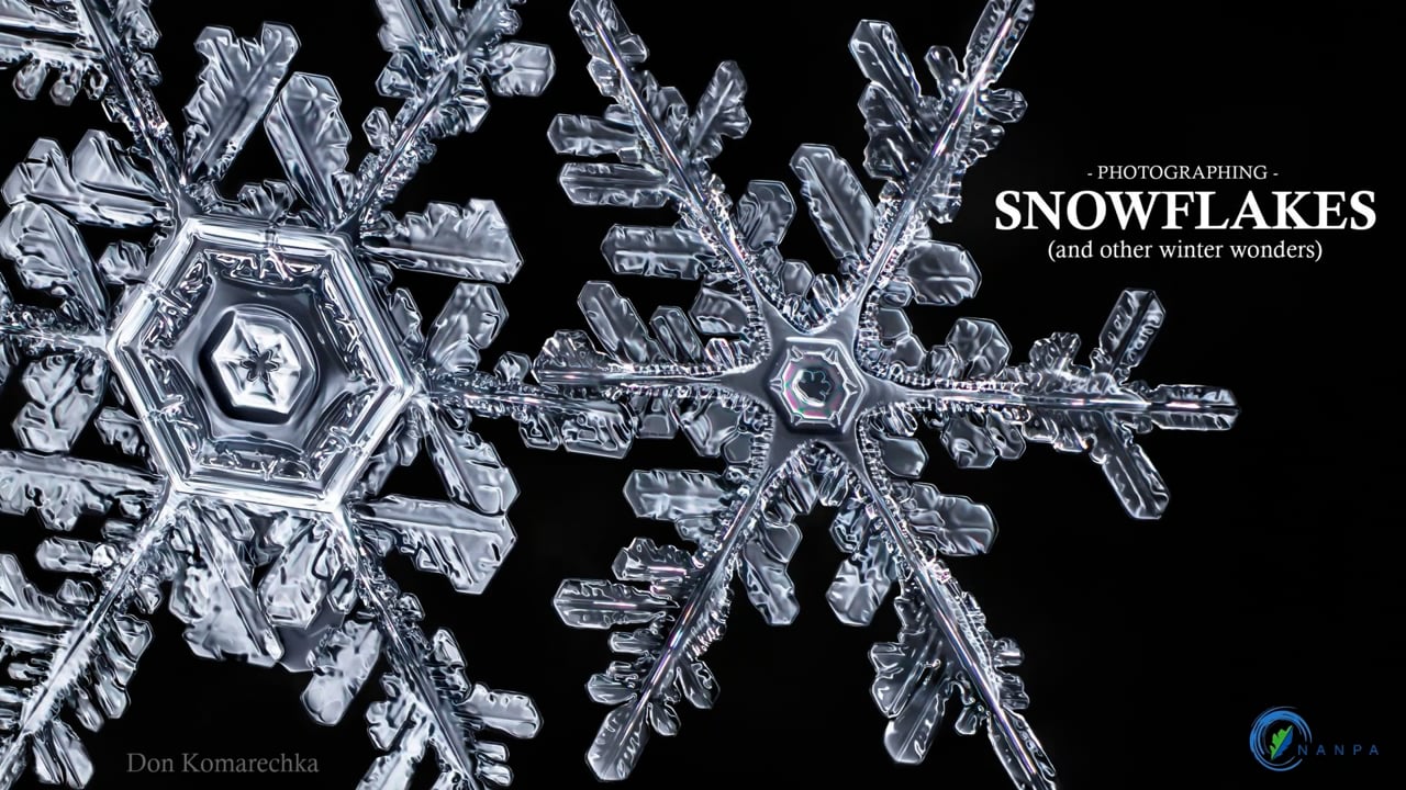 Photographing Snowflakes w/ Don Komarechka