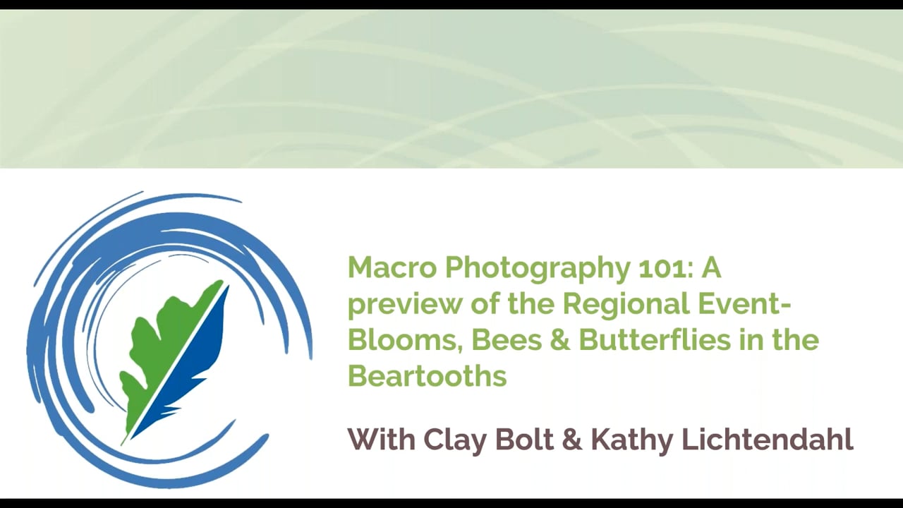 Macro Photography 101: A Preview of Blooms, Bees, & Butterflies in the Beartooths w/ Clay Bolt & Kathy Lichtendahl