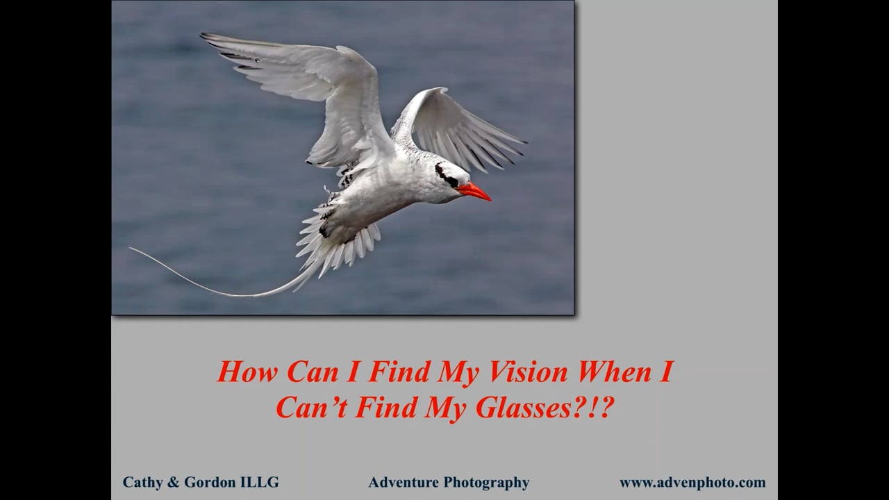 How Can I Find My Vision When I Can’t Find My Glasses: Making Your Images Stand Out From The Crowd