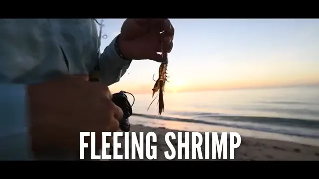 LiveTarget Lures Fleeing Shrimp Soft Plastic Jig