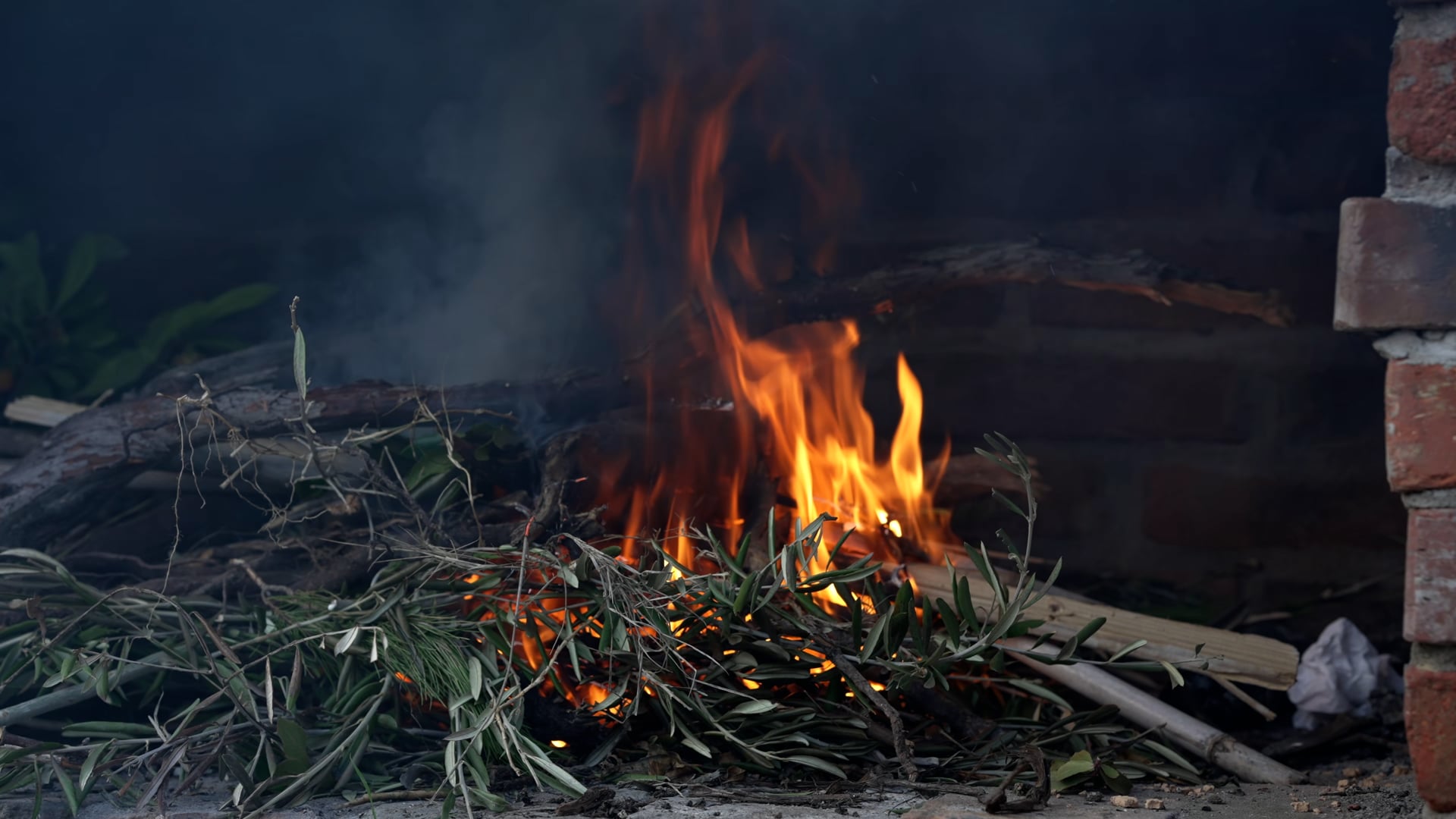Trees and leaves burning, fire and smoke