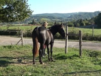 LORD - Merens d'exception 3 ans