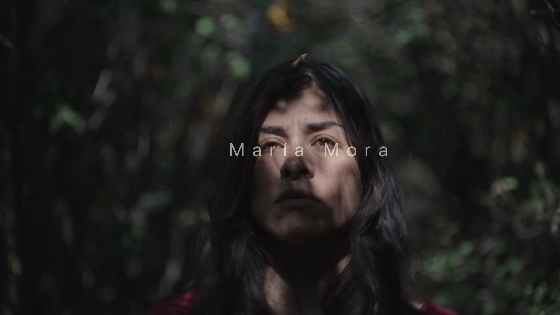 Cinematography Showreel 2023