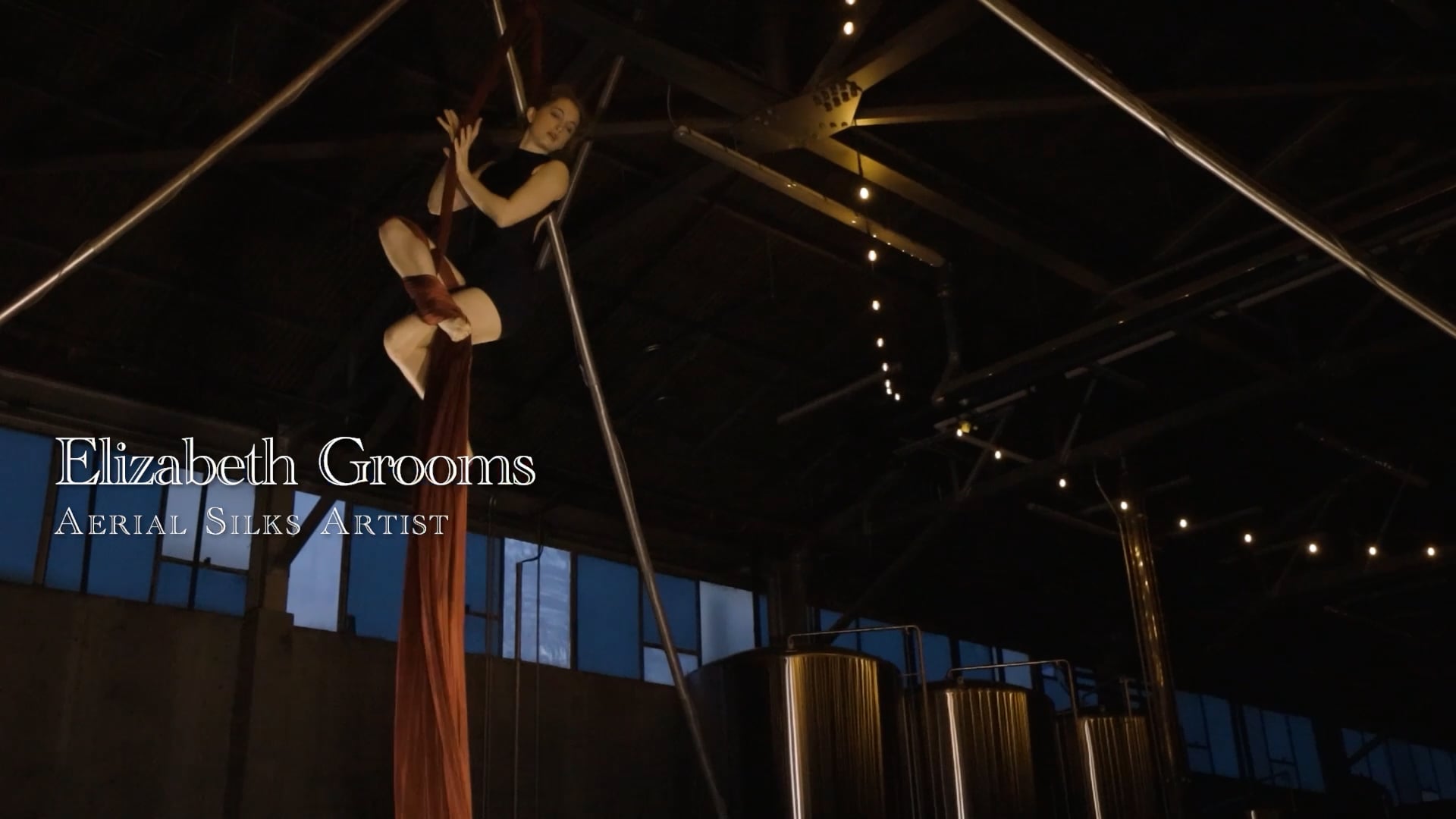 Elizabeth Grooms Aerial Silks