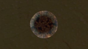 image du film '24h - The Circle square project (Une de plus)'