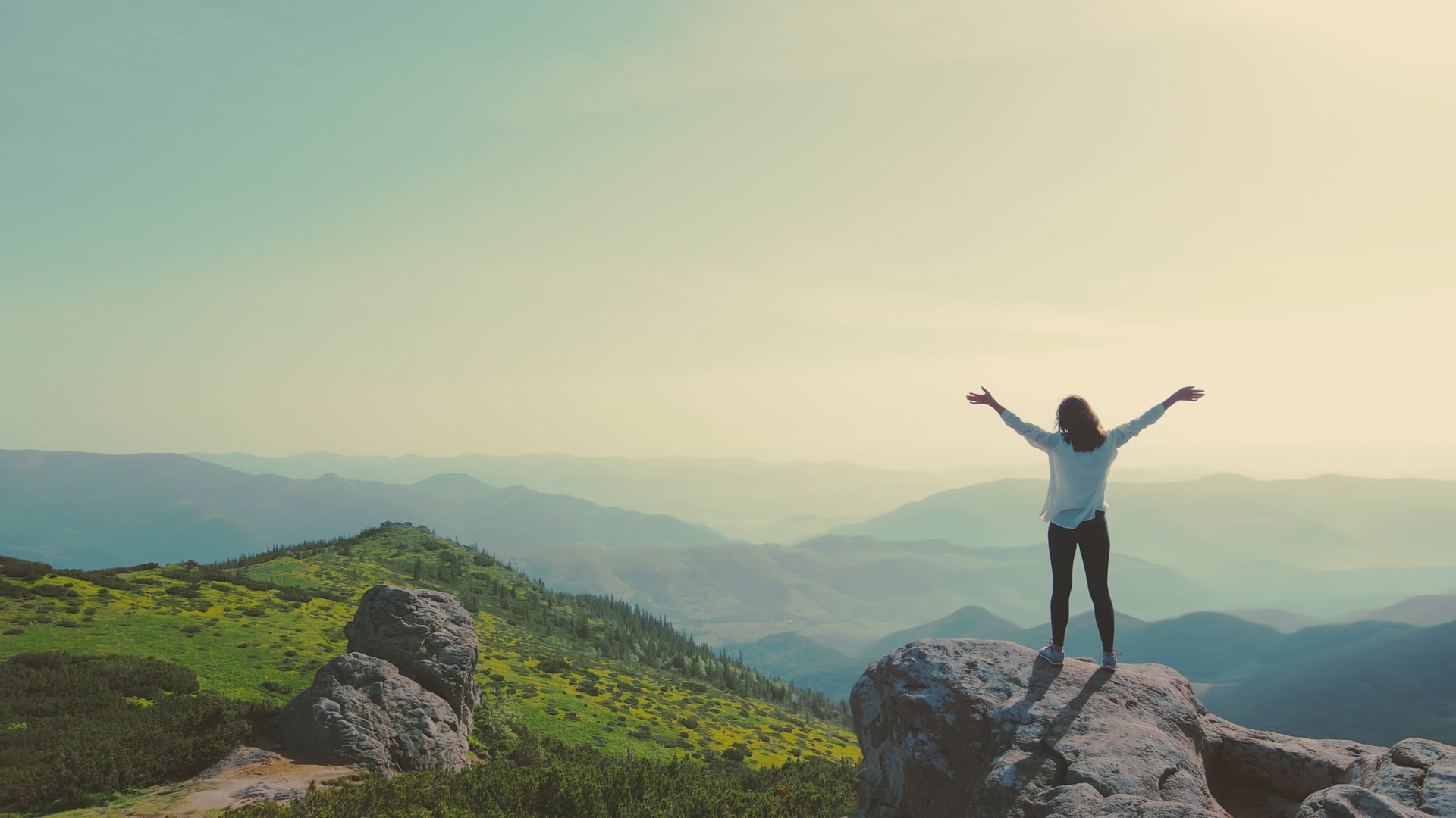 Talkback Psychology Clinical Psychologist, Bulk Billing Psychologist