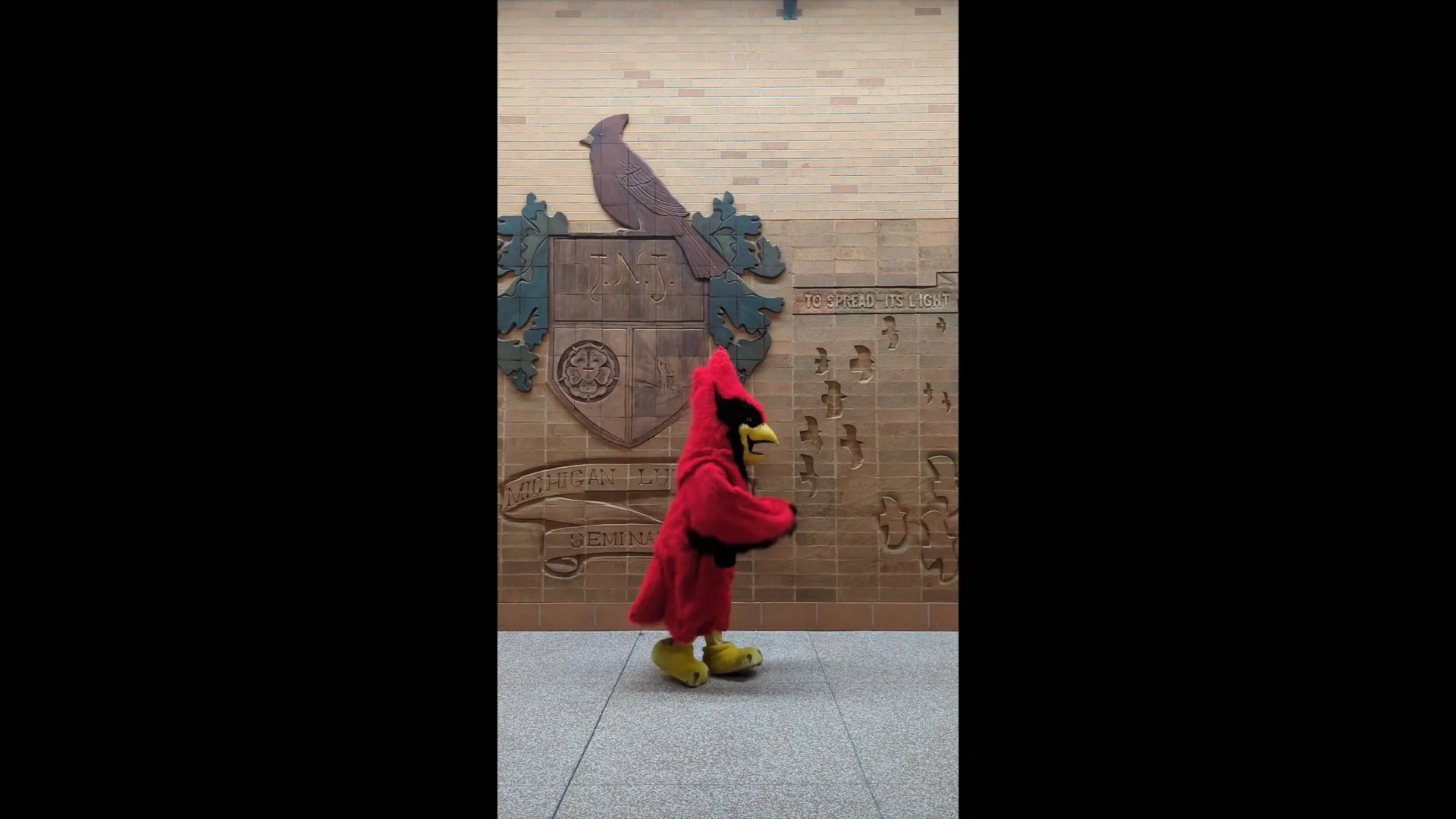 WC23 - Cardinal Dancing on Vimeo