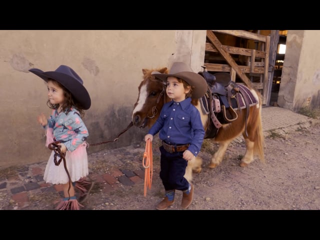 Placeholder image for video: 