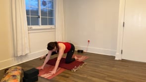 Related Embedded Video Item Thumbnail