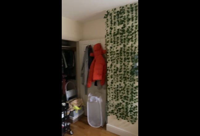 Video 1: