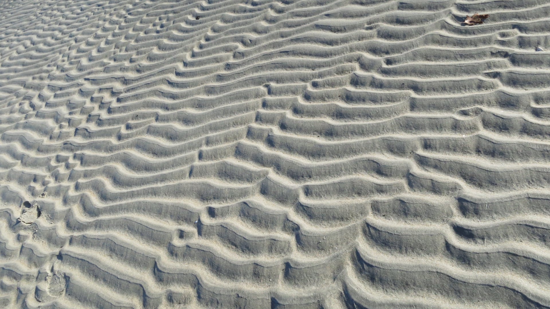 2023 February 01: Generosity Towards the Self