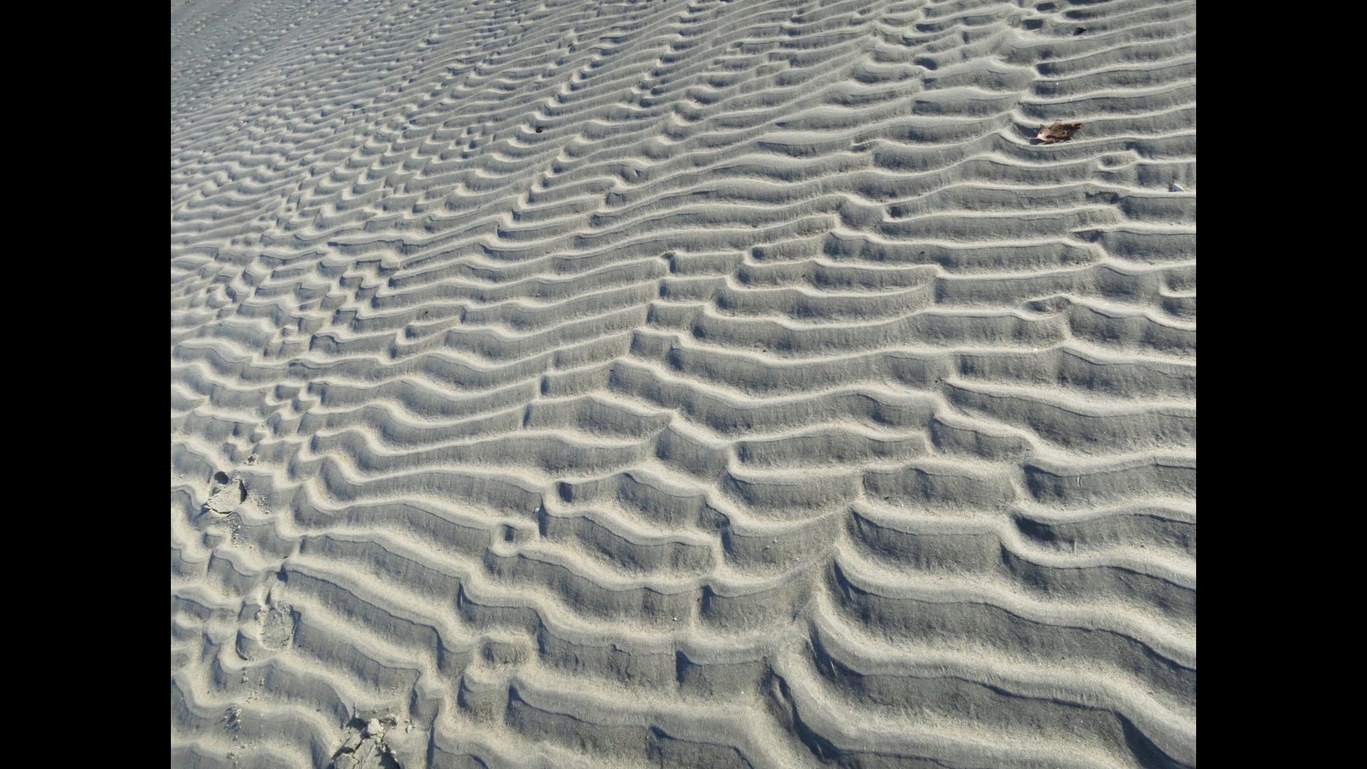 2023 February 01: Generosity Towards the Self