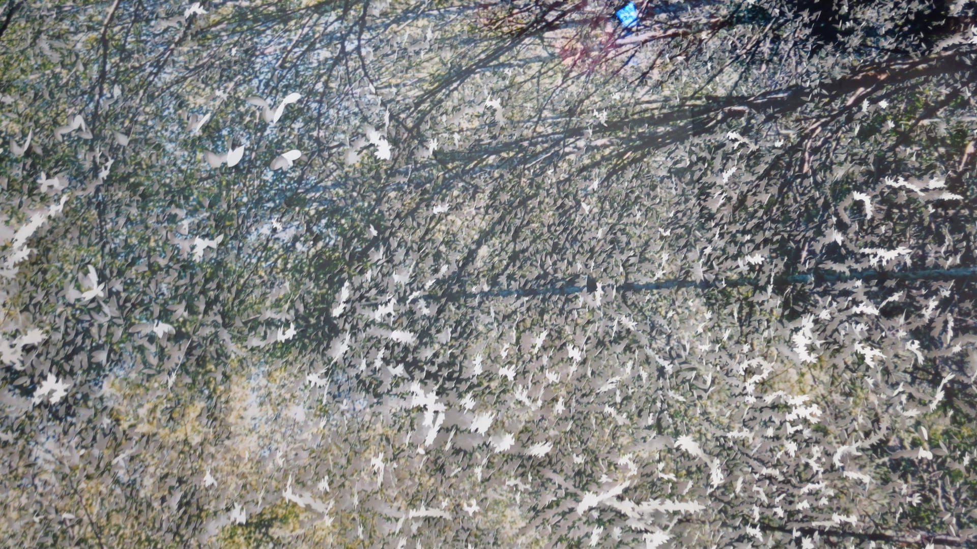 2023 February 06: Virtue, Ethical Conduct