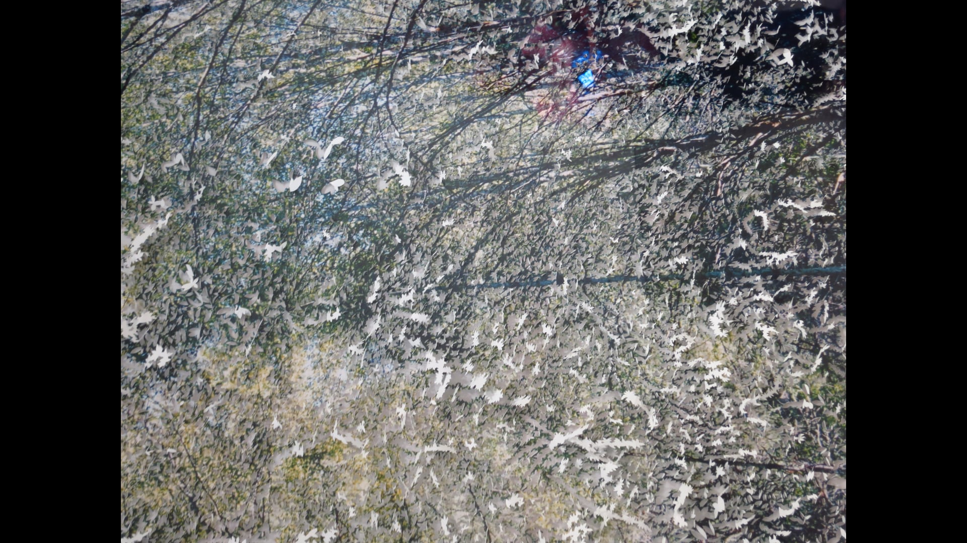 2023 February 06: Virtue, Ethical Conduct