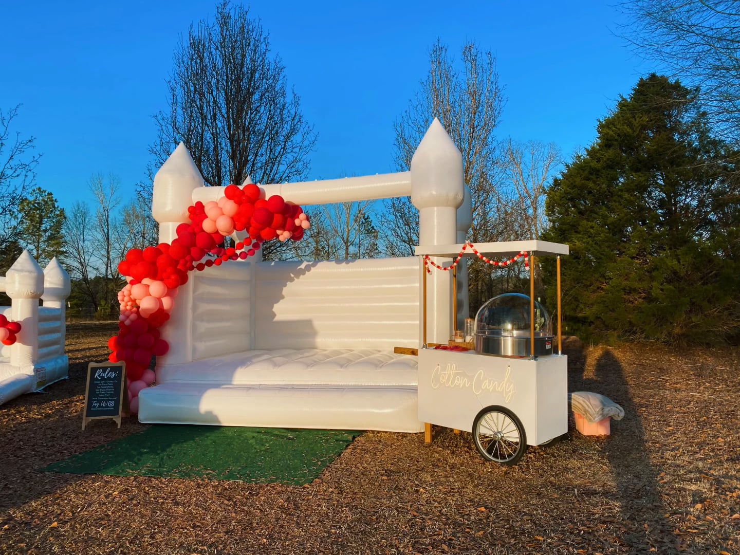 White House Rentals LLC Home