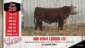 Lot #29 - WH 6964 LEADER 11J