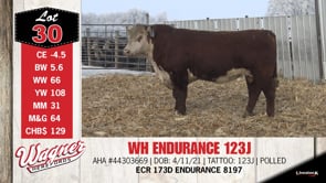 Lot #30 - WH ENDURANCE 123J