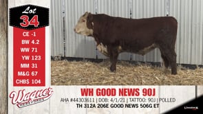 Lot #34 - WH GOOD NEWS 90J