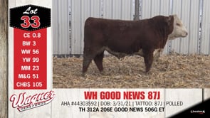 Lot #33 - WH GOOD NEWS 87J