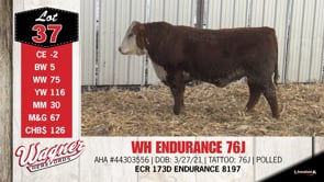 Lot #37 - WH ENDURANCE 76J