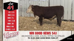 Lot #41 - OUT -- -- WH GOOD NEWS 54J -- -- OUT