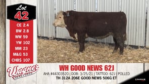 Lot #42 - WH GOOD ENWS 62J