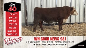 Lot #40 - WH GOOD NEWS 98J