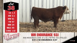 Lot #38 - WH ENDURANCE 93J