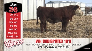 Lot #36 - WH UNDISPUTED 101J