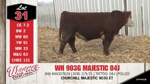 Lot #31 - WH 903G MAJESTIC 04J