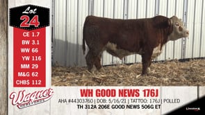 Lot #24 - WH GOOD NEWS 176J
