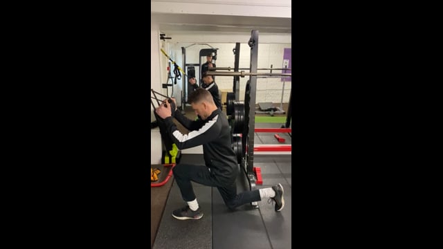 TRX Split Squat/Reverse Lunge