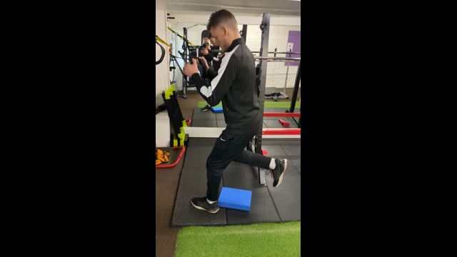 Single Leg Squat (Knee Drop)