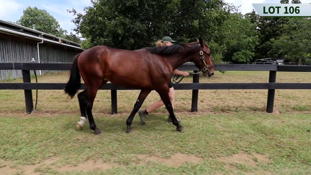 Lot 106
