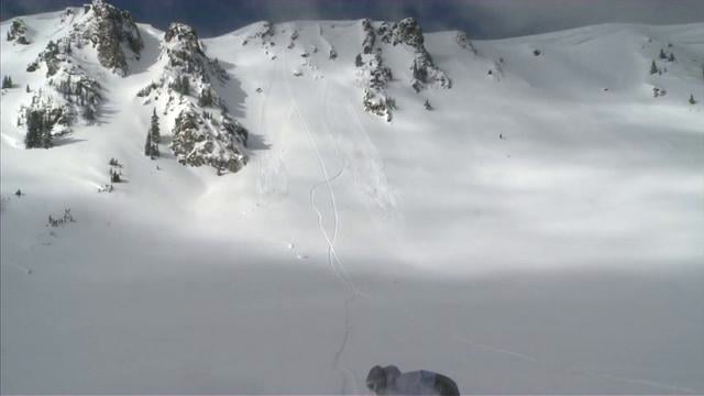 Colin Spencer 2011 from Colin Spencer