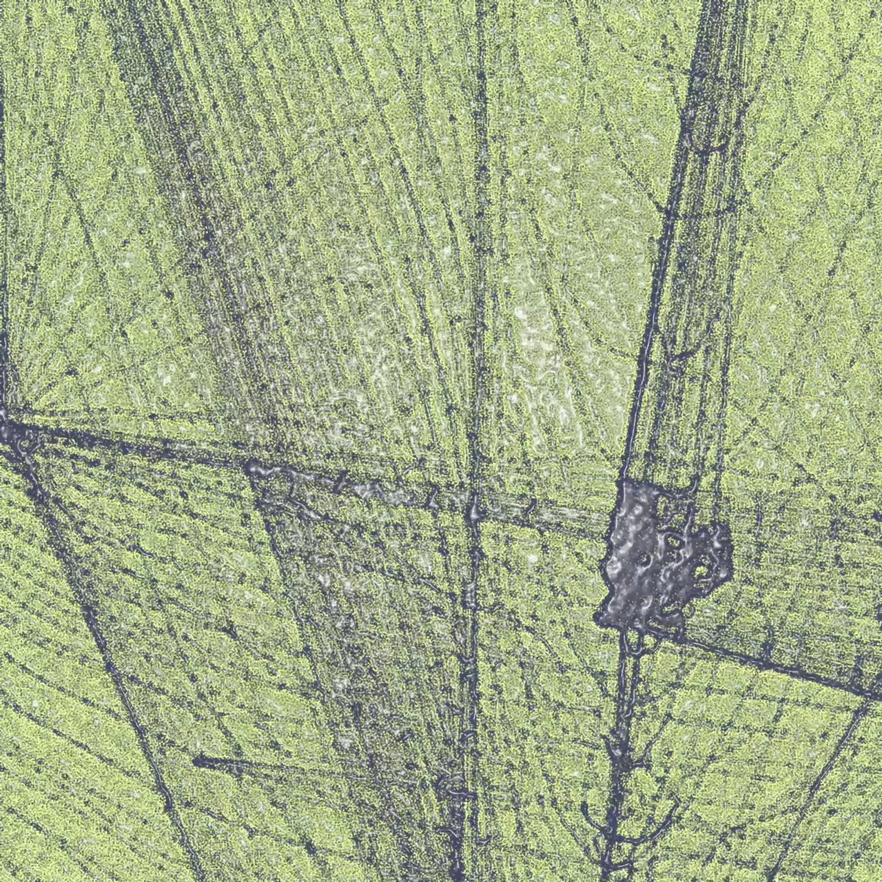 Untitled22.mp4 on Vimeo