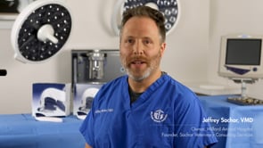 Cooper Surgical Insorb Canine Video